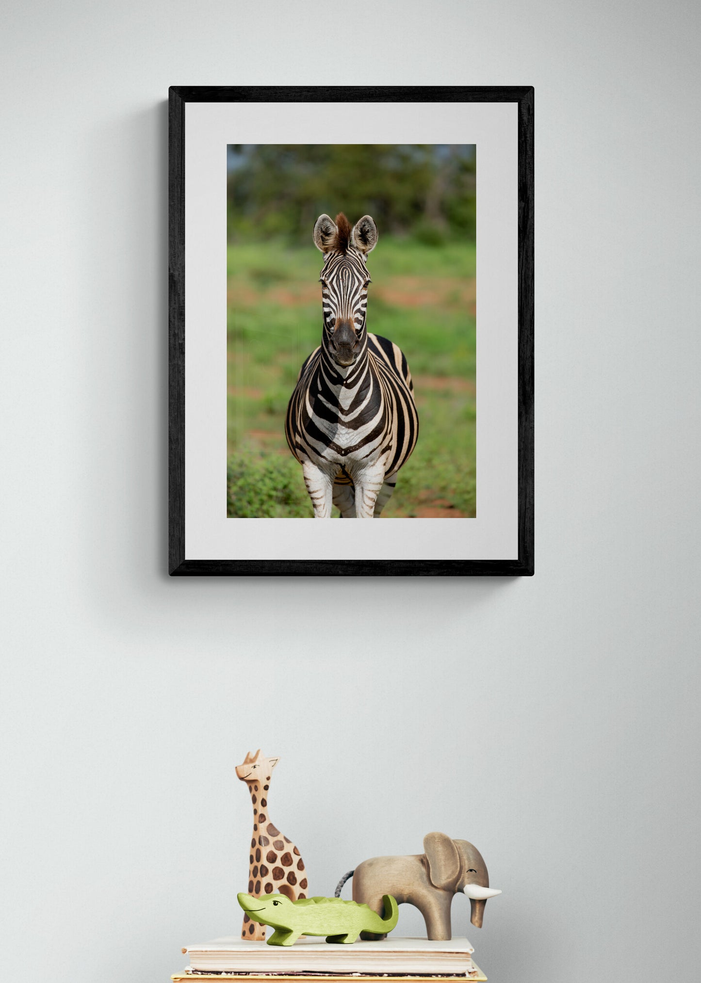Zebra - South Africa