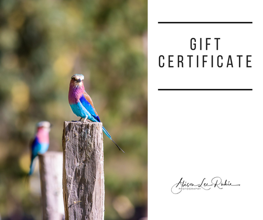 Gift Certificate