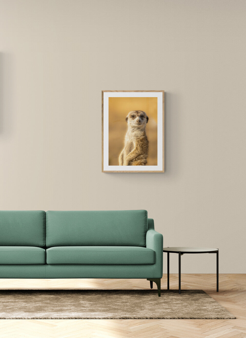 Meerkat Master
