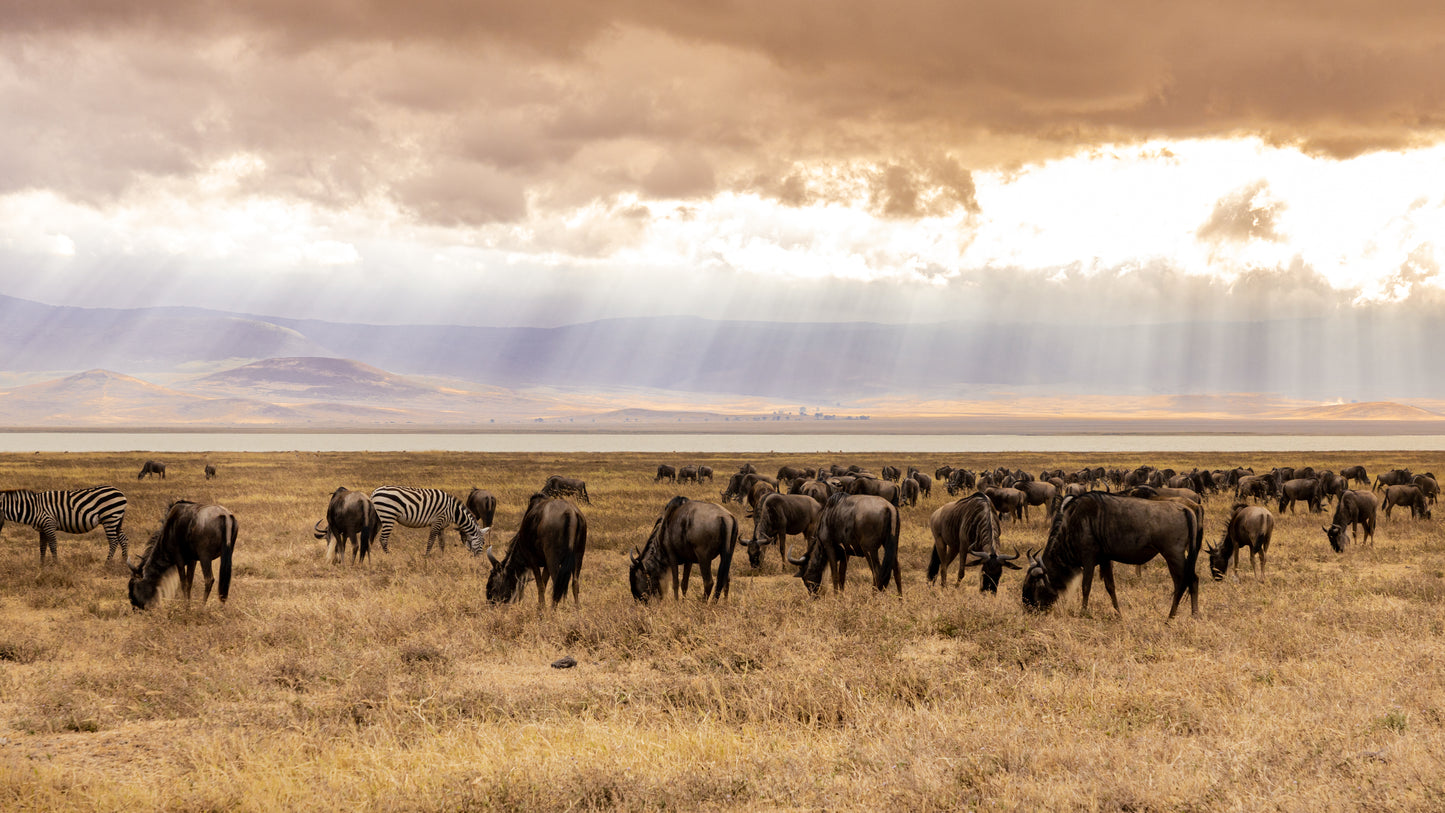Crater Sunrise - Ngorongoro Crater Tanzania