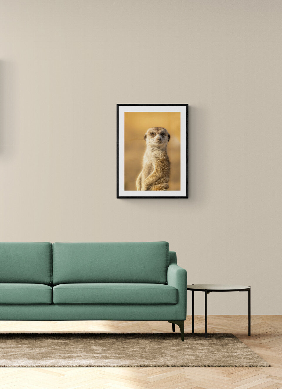 Meerkat Master