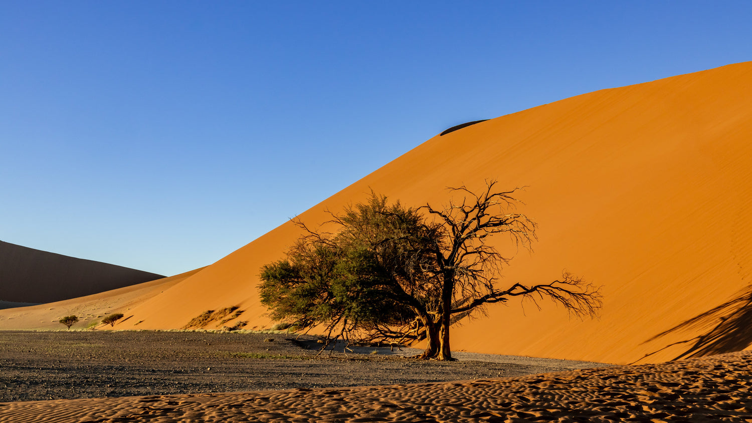 LANDSCAPES