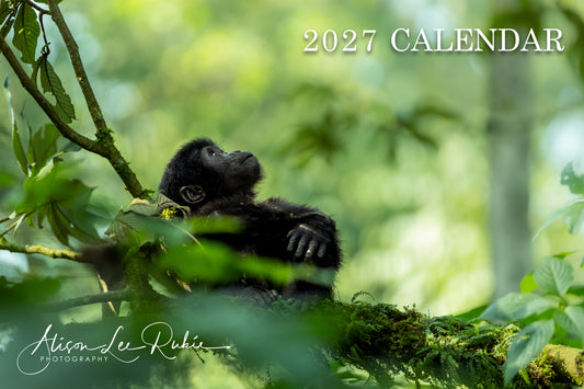 2027 Calendar