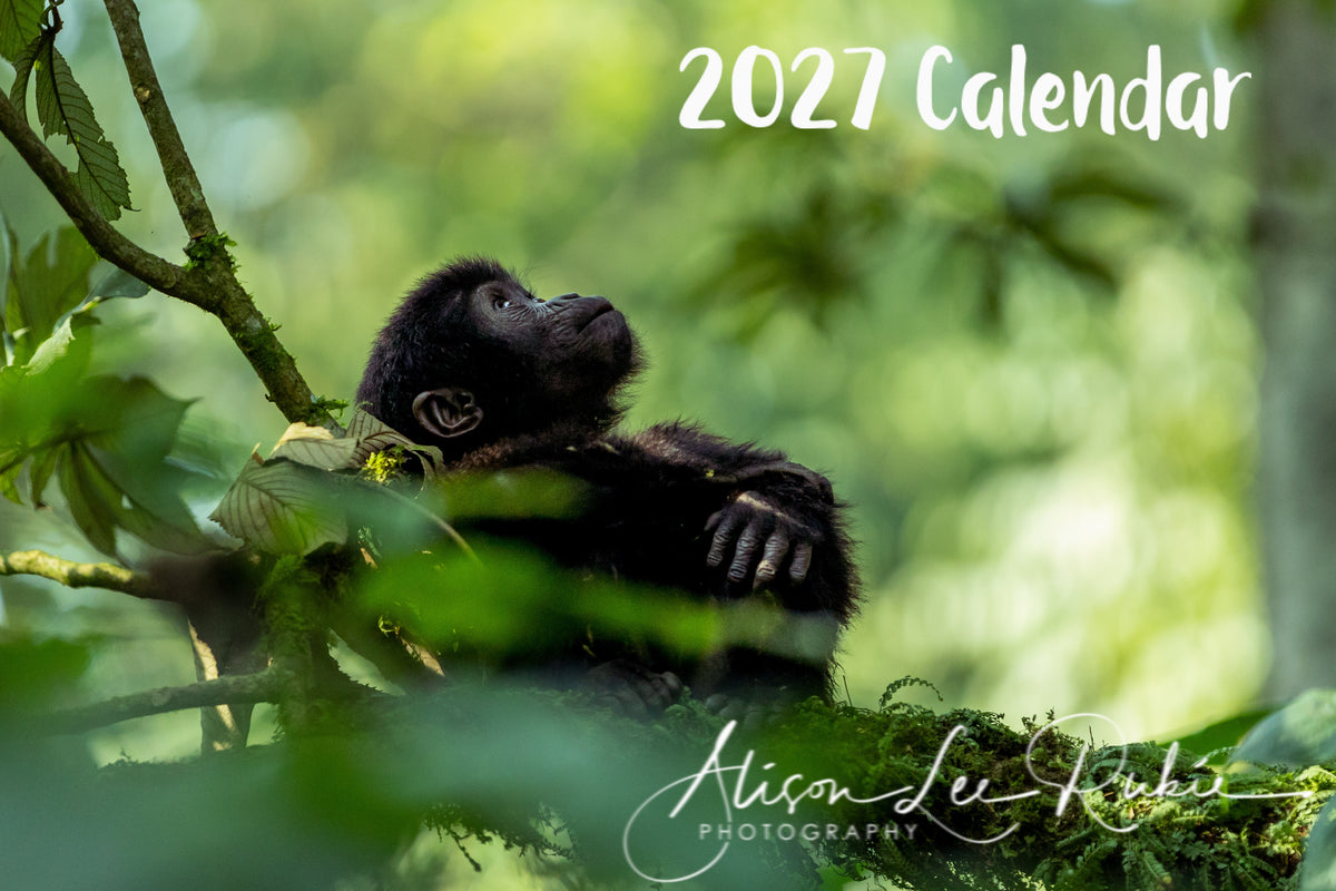2027 Calendar